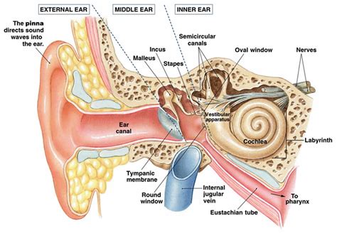 neuritis vestibularis.